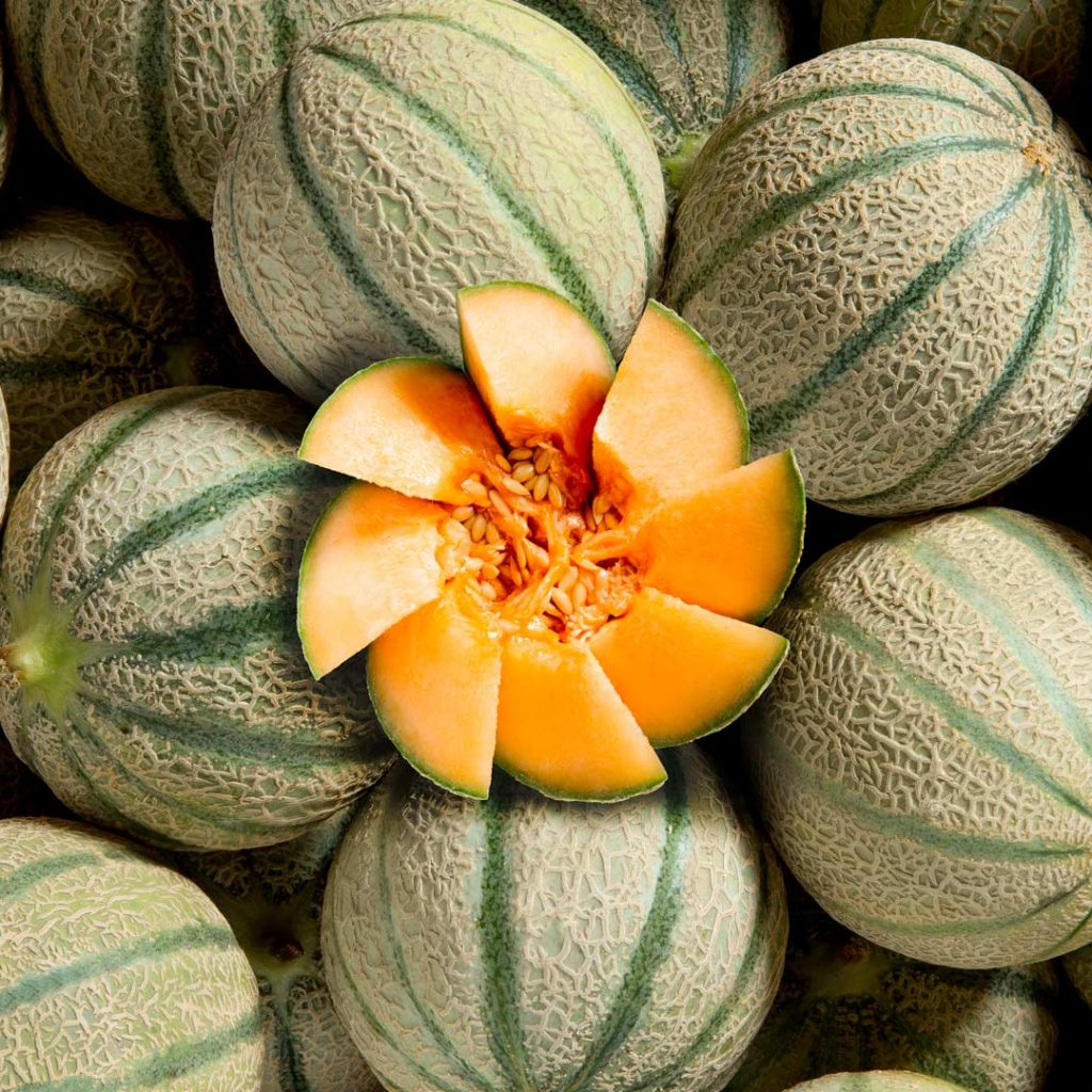 Composition de melons - Studio photo Strasbourg 67 Alsace