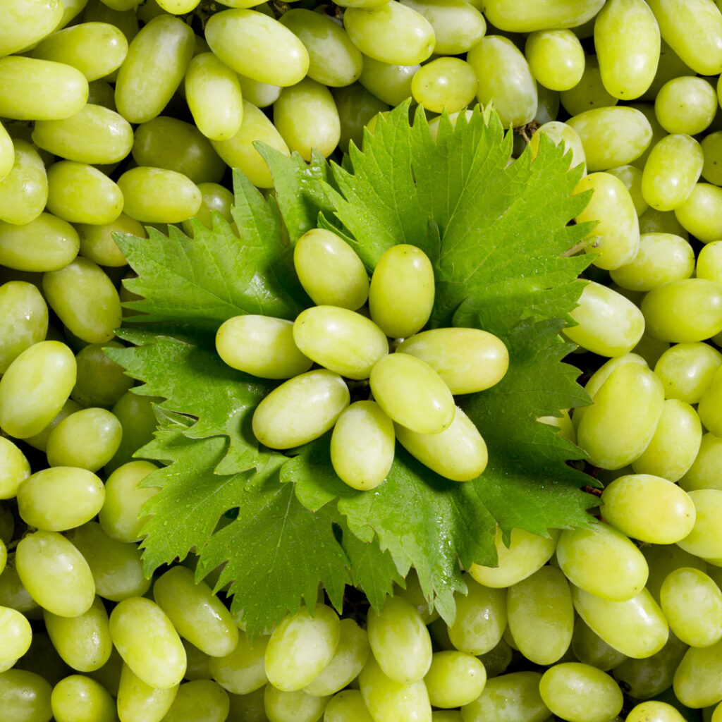 Composition de raisins blancs - Studio photo Strasbourg 67 Alsace