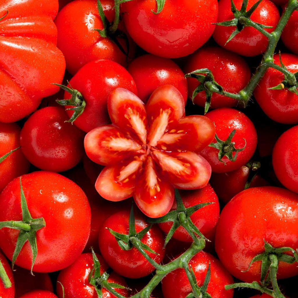 Composition de tomates - Studio photo Strasbourg 67 Alsace