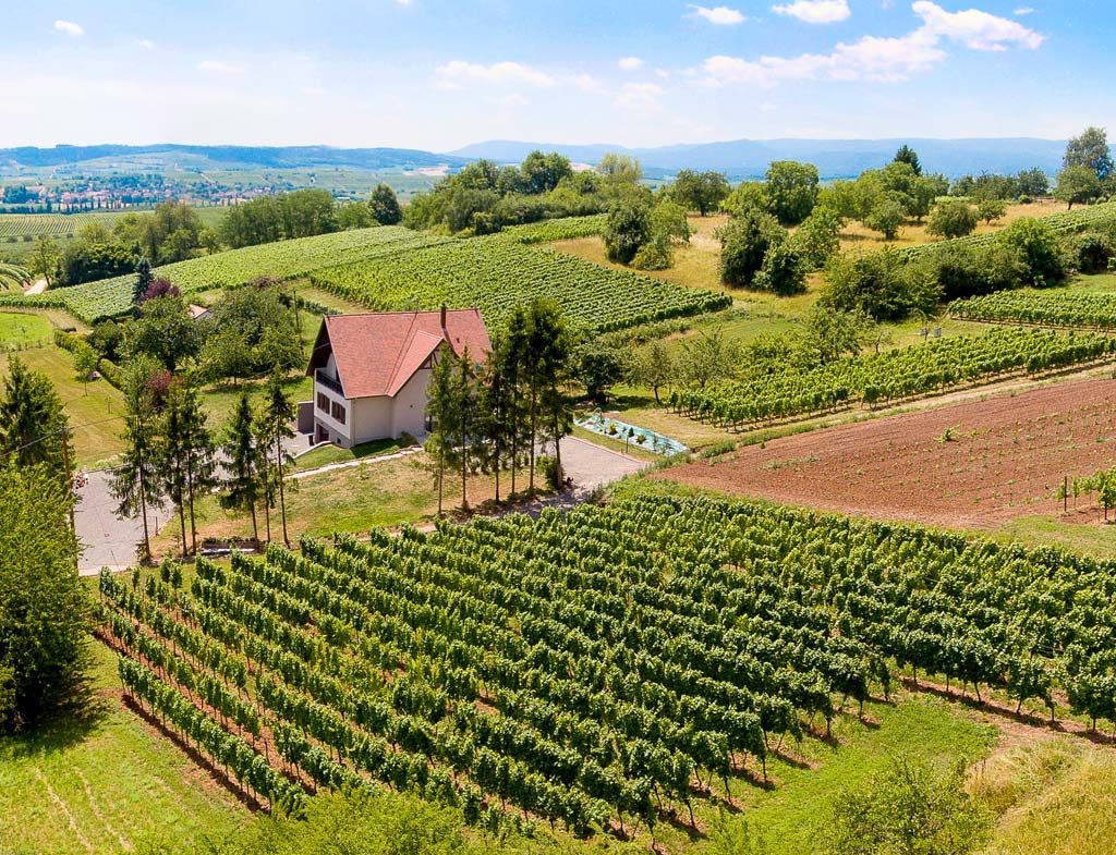 Phototographe aérien par drone - Prise de vue aérienne du gîte La Rose Blanche à Wangen en Alsace