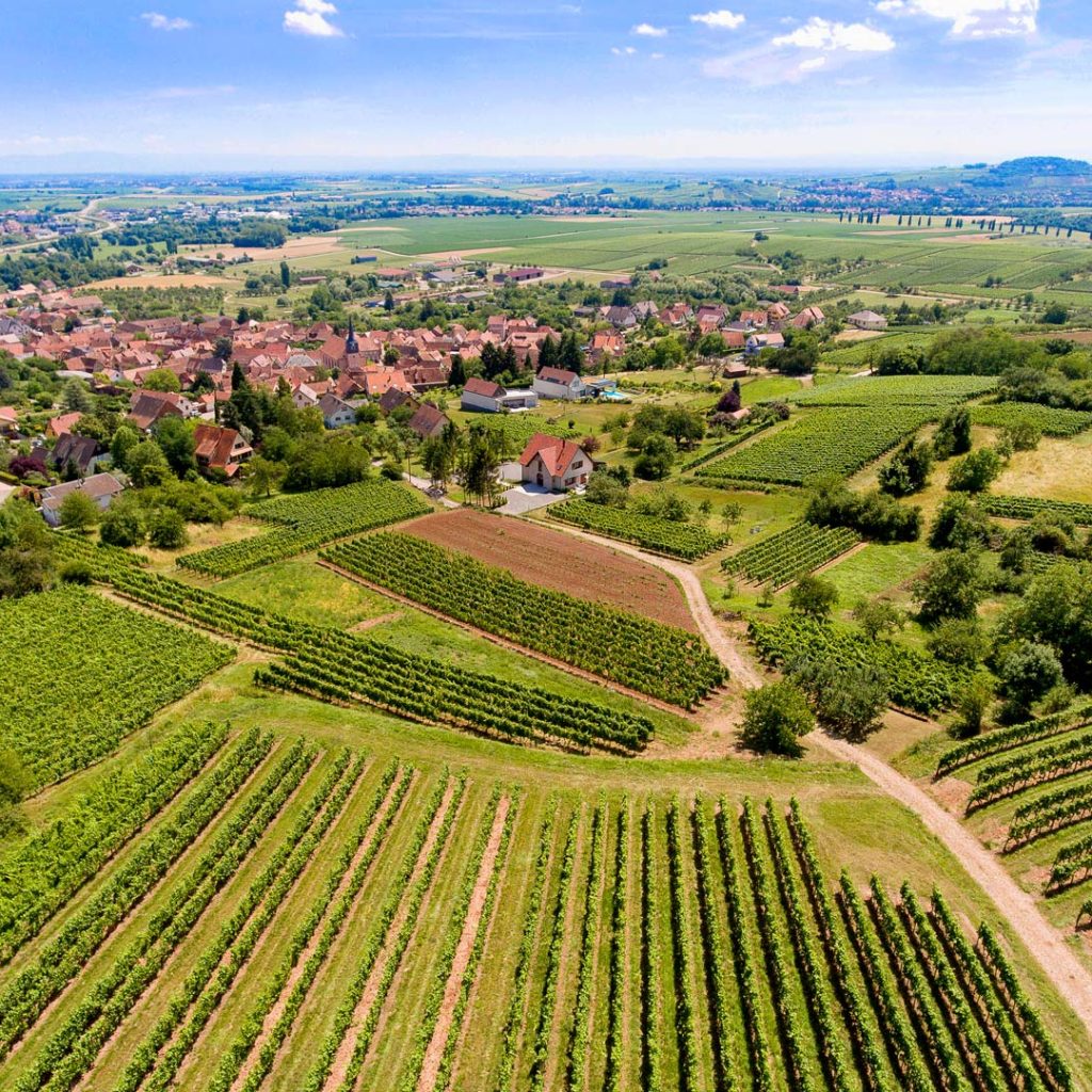 Phototographe aérien par drone Strasbourg Bas-Rhin - Prise de vue aérienne de la campagne de Wangen en Alsace