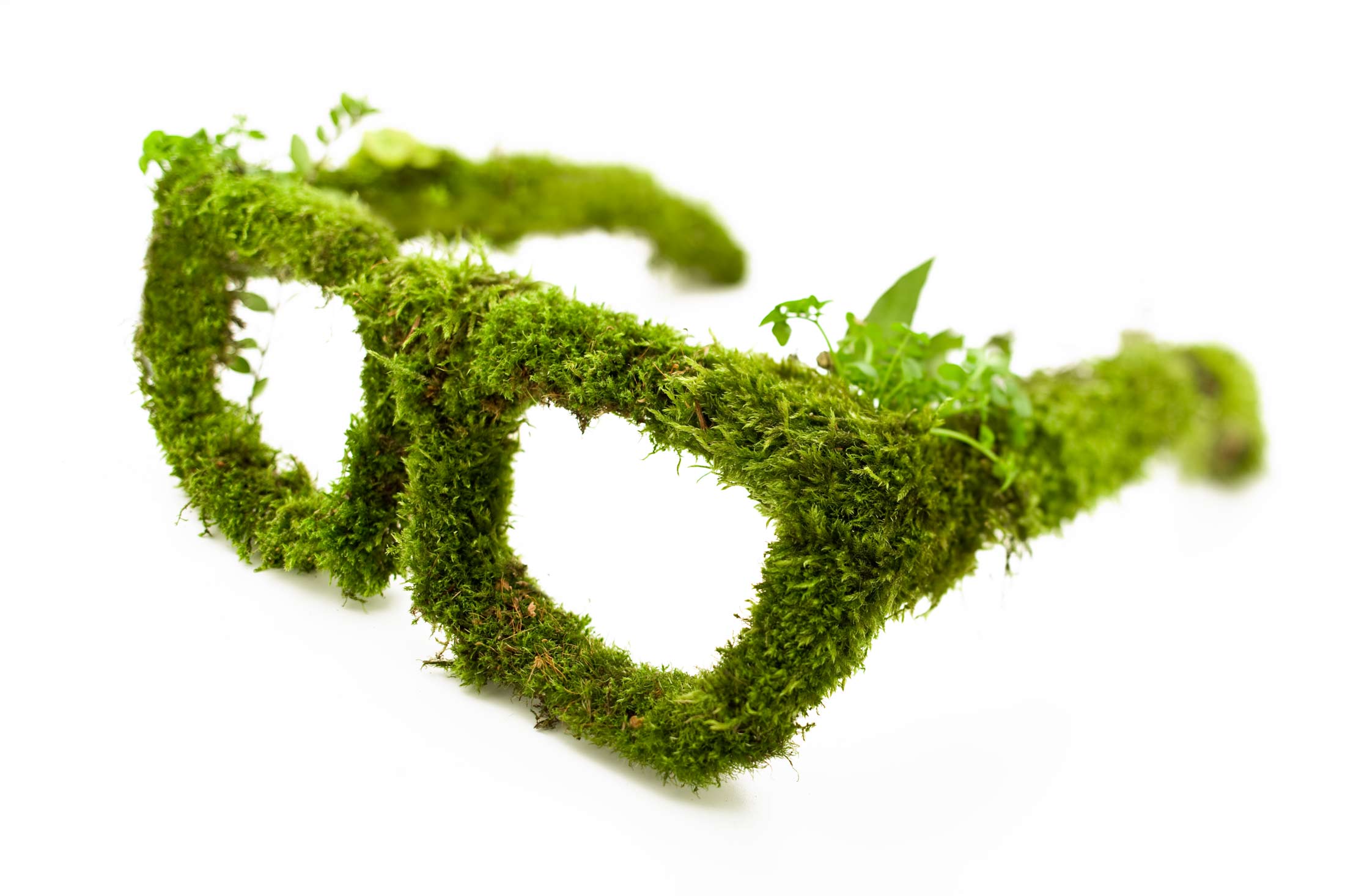 Lunettes végétales "Une vision plus verte pour l'avenir"